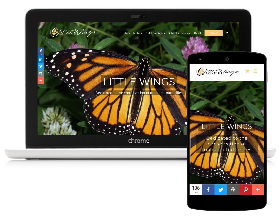 Little-Wings-Website-Portfolio